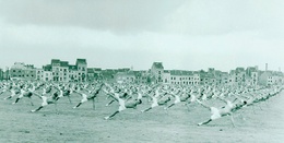 VUB campus Etterbeek militaire site